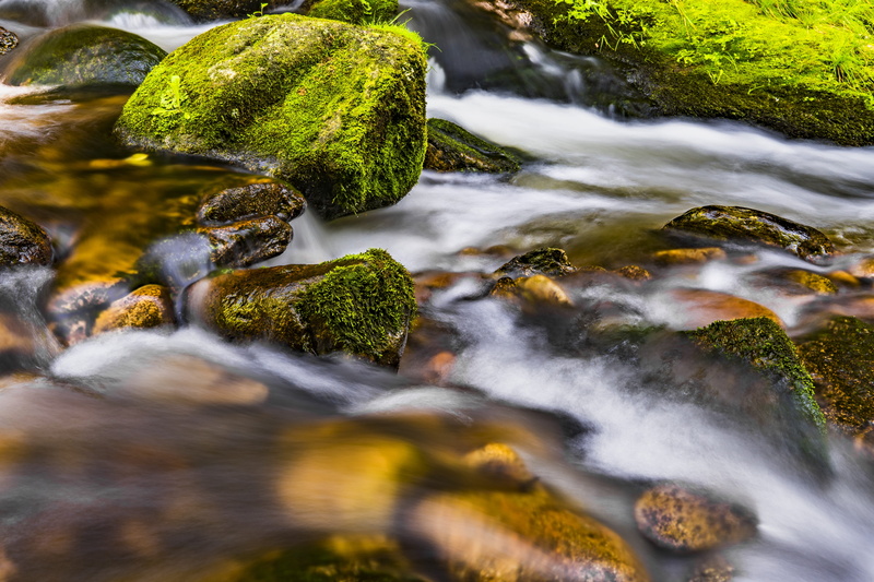 moss, background image, solid, stream - flowing water, waterfall, green color, waters, scenics - nature, clean, reflection, pebble, forest, plant, motion