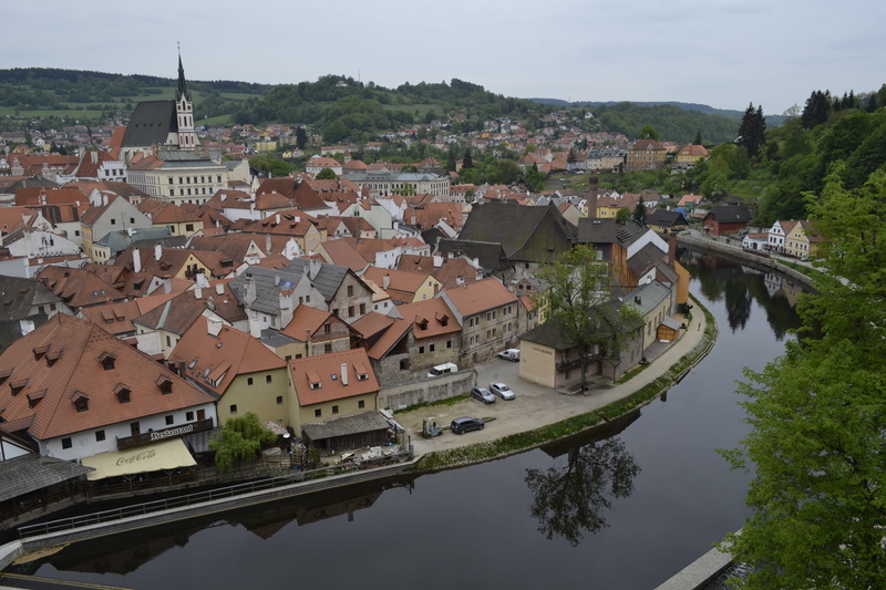 river, water, residential district, plant, day, city, no people, waters, architecture, building, roof, outdoors, town, czech republic, townscape, landscape