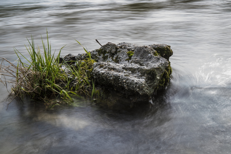 animal themes, waters, animal wildlife, rock - object, day, flowing water, wet, outdoors, idyllic, beauty in nature, grasses, tranquil scene, bach, plant