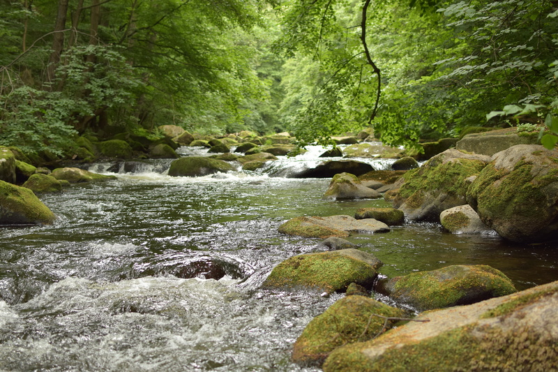 5K, freshness, rocks, rock - Object, motion, water, scenics, solid, stream - flowing water, day, rushing, rock, flowing, nature, tree, outdoors, green