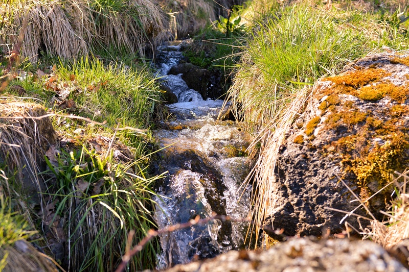 rock, beauty in nature, stream - flowing water, solid, sunlight, motion, growth, nature, plant, bach, downloading, waters, grass, water, land, no people