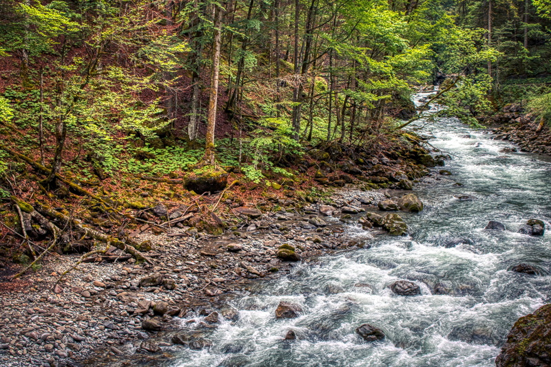 flowing water, oberstdorf, bach, wood, bavaria, river, stones, fluent, beauty in nature, water, amazing, gorge, 5K, motion, no people, wild, flowing, landscape