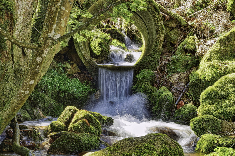 creek, leaf, 5K, natural water, day, green color, rock - object, tree, nature, running water, outdoors, landscape, waters, water, no people, long exposure