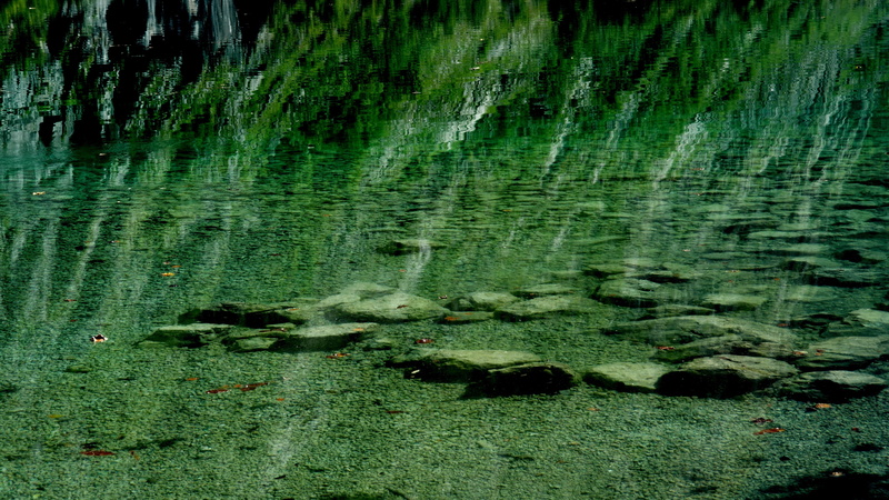 moss, green Color, growth, tranquility, scenics - nature, backgrounds, beauty In Nature, Turquoise, close-up, full frame, Reflection, blue, scenics, forest
