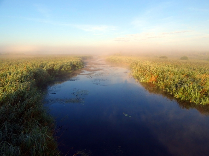 reflection, water running, landscape, land, bank, outdoors, atmosphere, river landscape, serenity, Morning, sunrise - dawn, fog, 5K, spring lake, nature