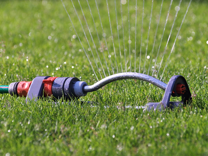 nature, green color, plant, drop, hose, field, garden, hose connection, plain, growth, gardening equipment, day, gardening, childhood, watering, black
