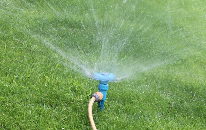 lawn, garden hose, spray, maintenance, motion, grass, leisure activity, 2K, one person, unrecognizable person, backyard, outdoors, nature, land, field