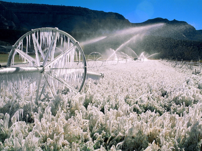 metal, color Image, irrigation Equipment, petaled, photography, field, 720P, splashes, day, scenics - nature, sprinklers, mountain, flower, non-Urban Scene