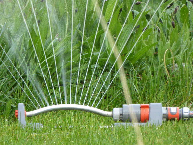 rush, gardening, lawn, juicy, outdoors, casting, drop of water, field, sprinkler, lying down, grass, equipment, land, hose, tranquility, 4K, meadow, no people