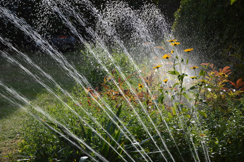 forest, garden, tranquility, grass, sprinkler, blade of grass, beauty in nature, artificial, no people, motion, day, freshness, water, scenics - nature
