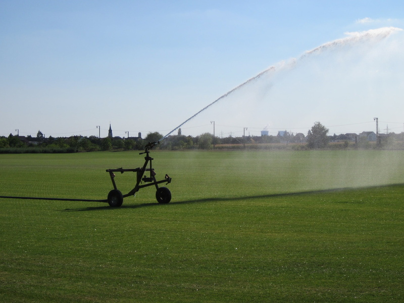 leisure activity, sport, sod, machinery, sunlight, reilingen, agriculture, plant, growth, field, golf course, summer, cultivation, no people, sky, sprinkler