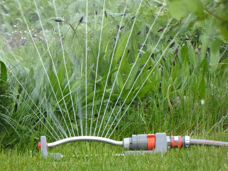 near, equipment, Drop Of Water, meadow, plant, garden, nature, juicy, gray, orange, grass, Casting, lawn, toy, high angle view, fuel and power generation