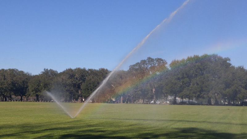 sport, summer, activity, nature, watering, outdoor, lawn, green color, Sprinkler, plant, landscape, tranquility, grass, field, water, beauty in nature