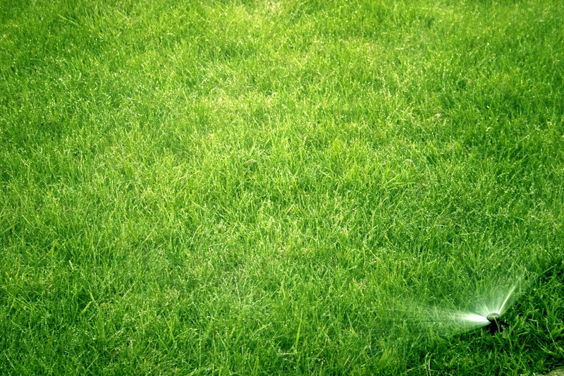 water, day, nature, land, soccer, summer, no people, spray, green color, wet, green - golf course, sport, growth, 2K, grass area, beauty in nature, high angle view