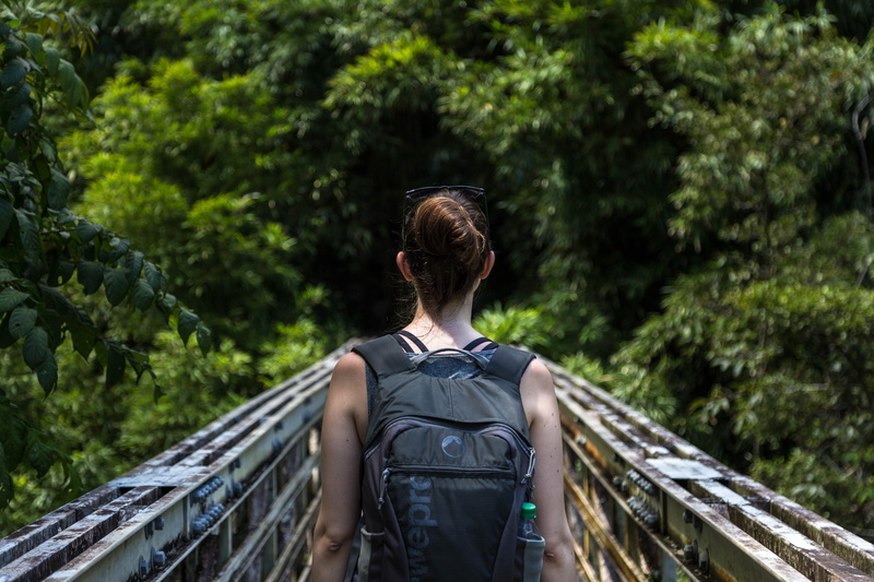 5K, traveller, forest, bridge, bag