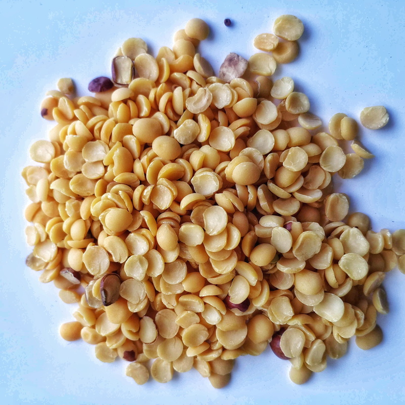 gunga bean, blue background, vegetarian food, legume family, from above, pigeon, high angle view, peogeon pea, still life, perennial legume, indoors, food and drink