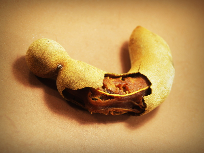 colored background, sour, horizontal, tamarindus, dessert, healthy, peel, food and drink, seasoning, arabic, nut, group, organic, brown, old, leaf, tamarind