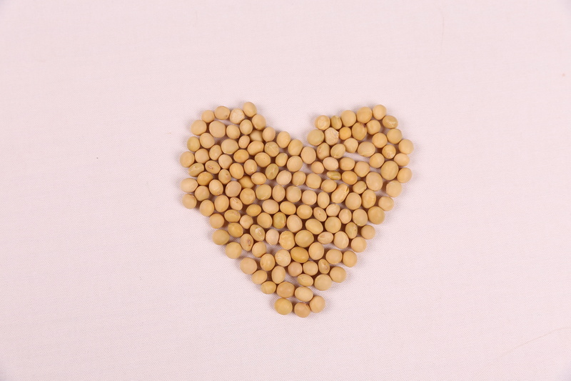 heap, vegetarian Food, for all, pebbles, backup status, shape, autumn, valentines day - holiday, backgrounds, seed, large group of objects, high angle view
