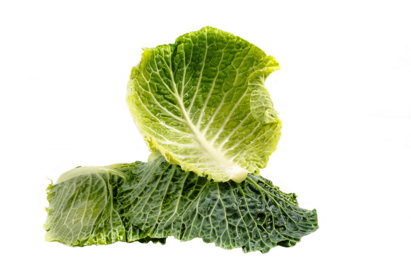 single object, vegetarian, plant, dieting, background, growth, vegetarian food, isolated, organic, wellbeing, nature, nobody, green, ingredient, white background