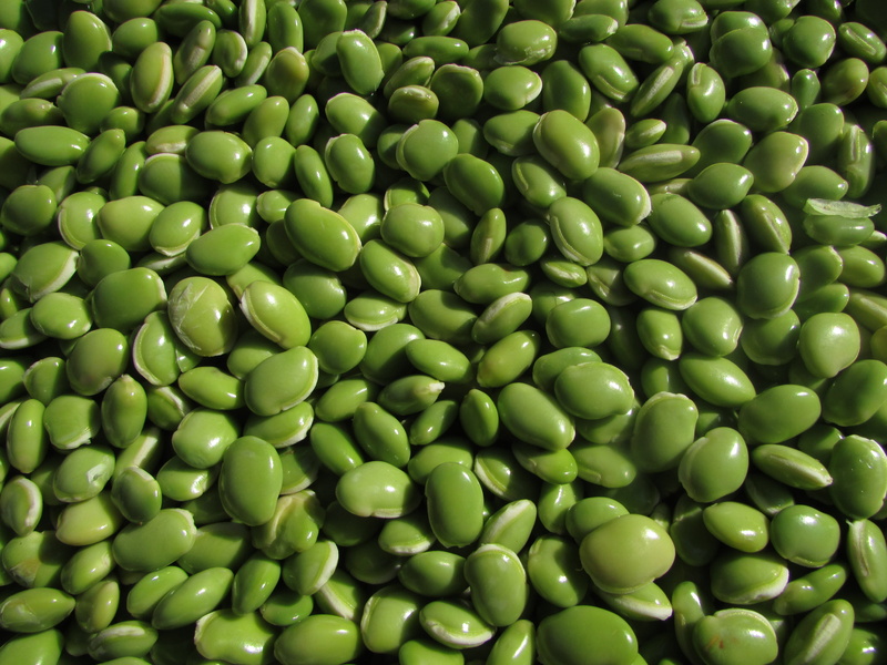 green Color, food And Drink, Leguminous Plants, 4K, freshness, white color, bean, green Pea, healthy Eating, india, full frame, backgrounds, raw Food