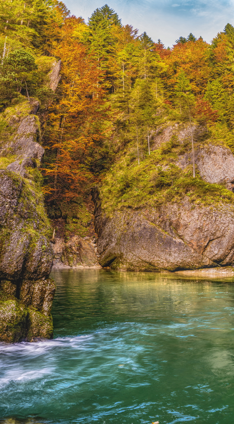 autumn, flowing, plant, land, water, lake, clear, ammer, no people, waterfront, non-urban scene, outdoors, colored, 8K, flowing water, beauty in nature