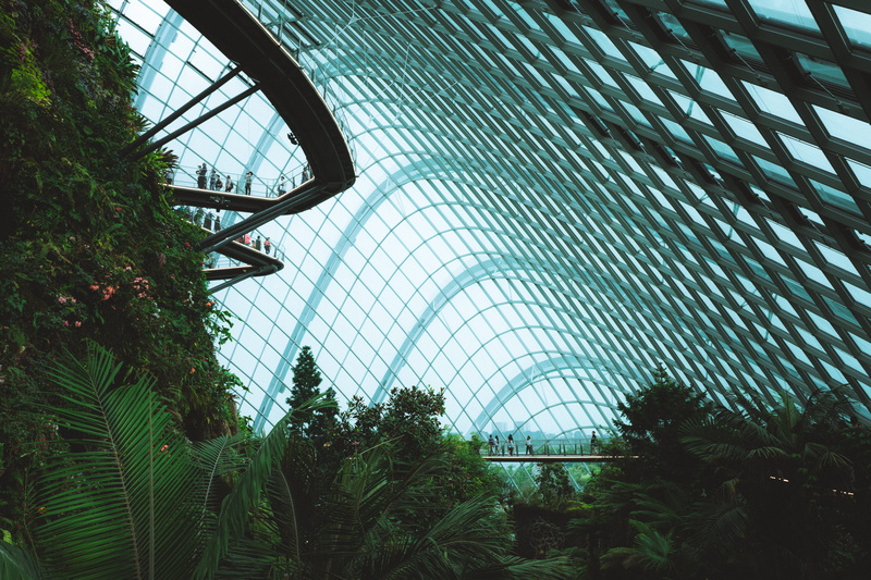 low angle view, sky, leafed, palm leaf, 5K, building exterior, photo, greenhouse, daytime, travel destinations, no people, built structure, day, blue
