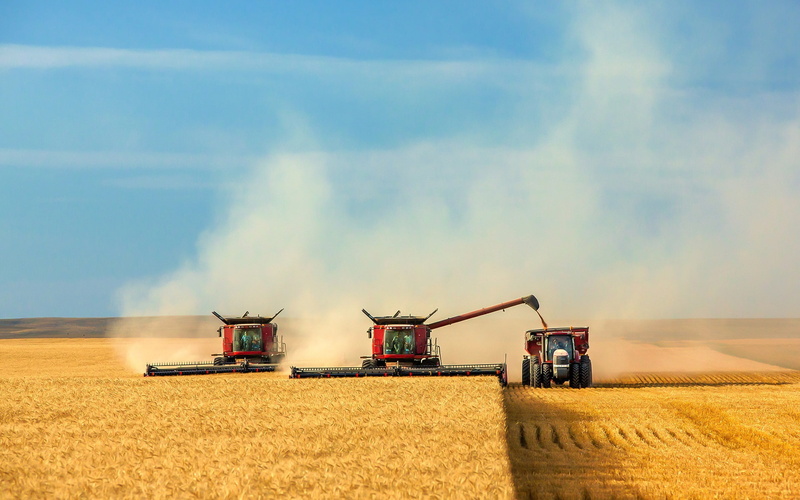 Harvest, 1080P, Machine, Sky, Fields