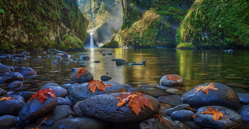 solid, no people, photography, tranquility, rock - object, plant, day, waterfall, lake, rock, stones, nature, river, scenics - nature, 1080P, flowing water