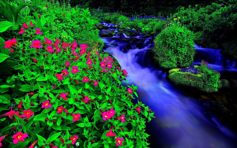 3d and abstract, stream, flow, forest, 1080P, spring, flowers