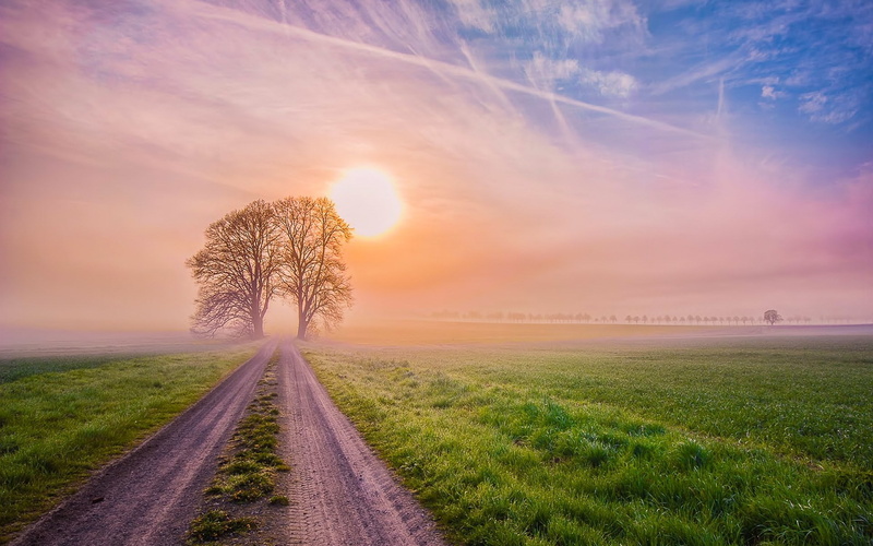 sun, sunset, no people, tranquil scene, the way forward, lens flare, direction, cloud - sky, transportation, sky, 1080P, plant, road, land, landscape