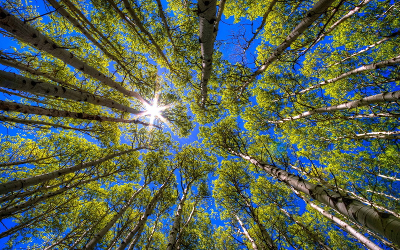 1080P, desktop full screen  nature pictures 1920x1200