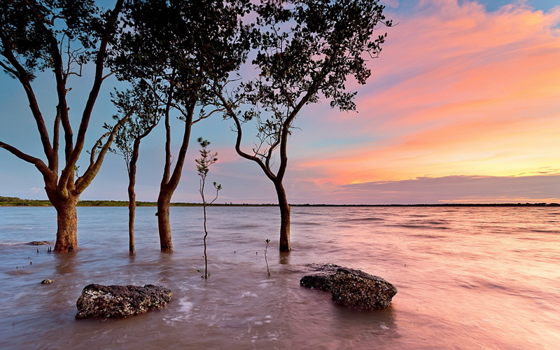 outdoors, water, tranquil scene, nature, sunset, land, tree, full screen nature  desktop hdmi 1920x1200, sea, no people, beach, 1080P, idyllic, environment