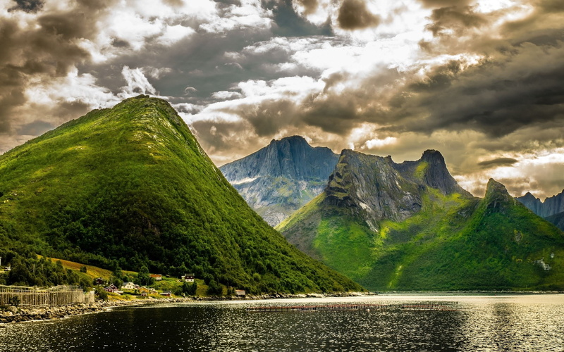 idyllic, tranquility, environment, 1080P, home screen  nature pictures 1920x1200, no people, beauty in nature, green color, plant, non-urban scene, nature