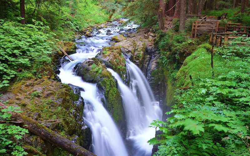 water, falling water, rock, motion, stream - flowing water, waterfall, tree, beauty in nature, green color, scenics - nature, long exposure, no people