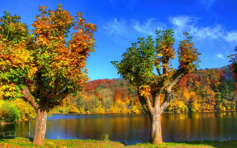 1080P, full screen nature  desktop hdmi 1920x1200