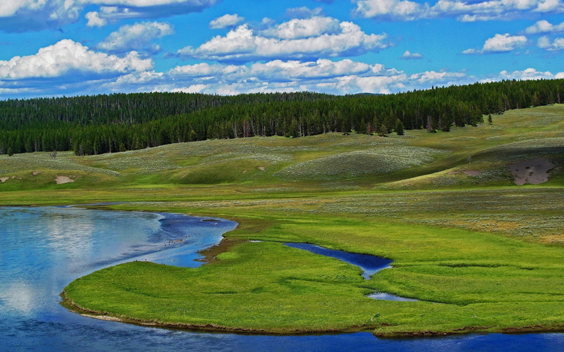 1080P, full screen nature  desktop hdmi 1920x1200
