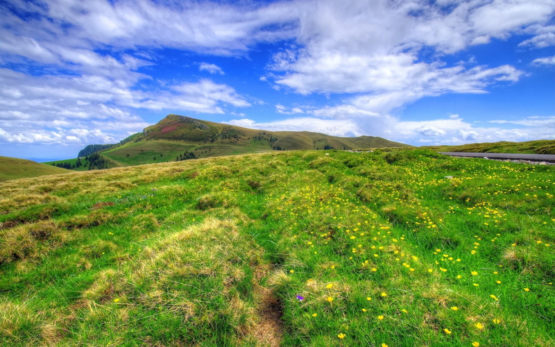 1080P, full screen nature  desktop hdmi 1920x1200
