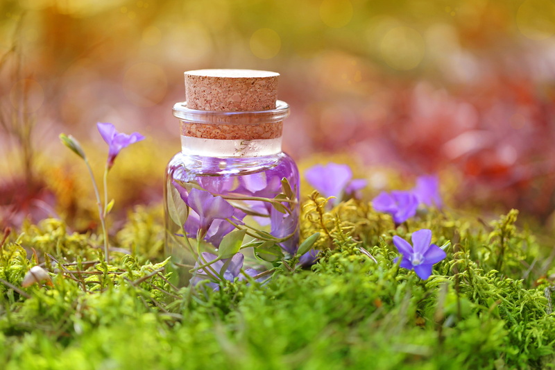 fragility, meadow, close-up, plain, liquid, outdoors, beauty in nature, no people, flora, glass, small, grass, potion, vulnerability, freshness, selective focus