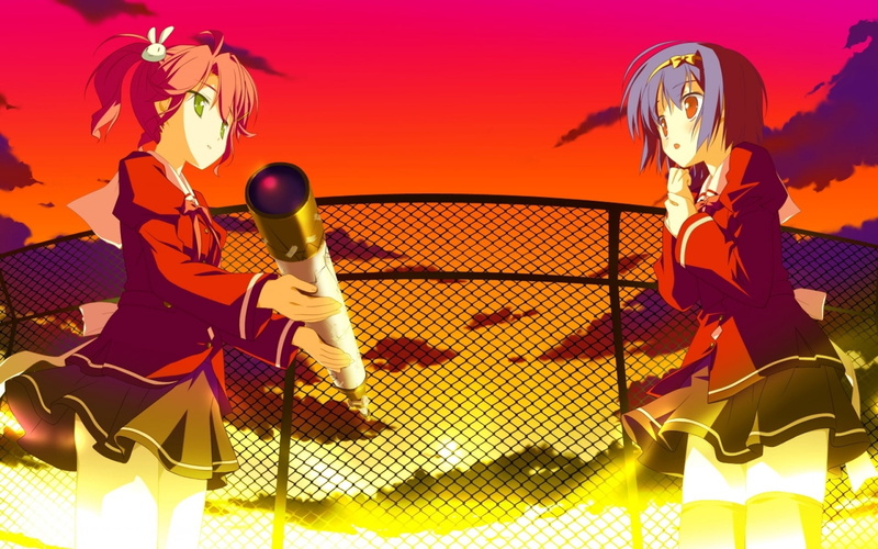 leisure activity, plant, vector, women, sunset, fence, anime, land, red, sky, outdoors, illustration, 1080P, ball, silhouette, activity, fun, sport, multi colored
