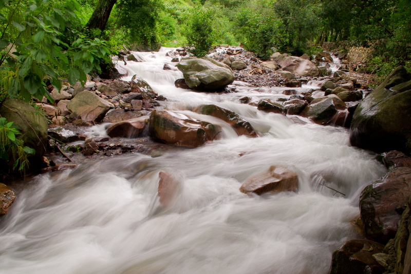 rocks, rock - Object, tree, raging river, forest, san lorenzo, waterfall, agua, argentina, movimiento, scenics, time, green river, freshness, outdoors
