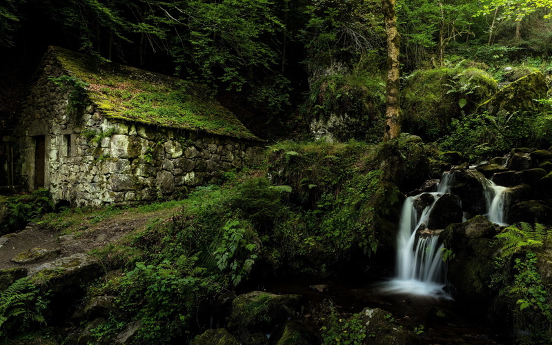 beauty in nature, building 4k free download for pc, long exposure, outdoors, stream - flowing water, tree, plant, blurred motion, falling water
