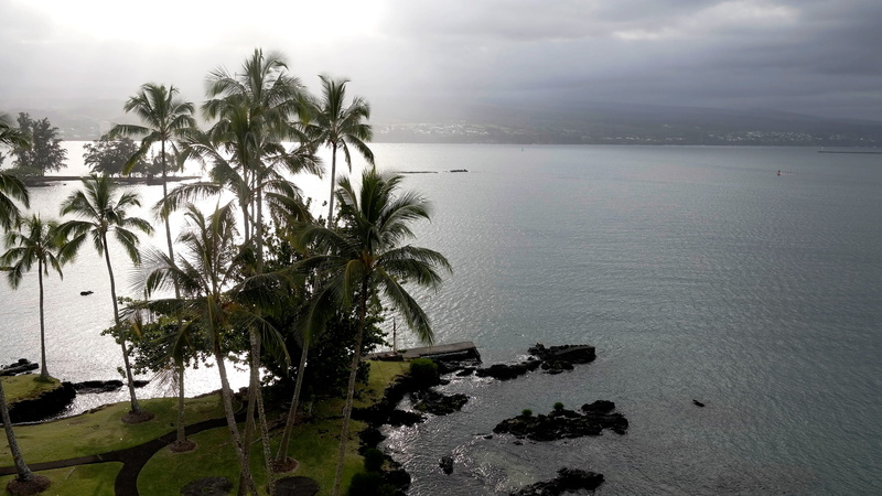coconut palm tree, beach, beauty in nature, estados unidos, palm tree, outdoors, horizon over water, coast, tree, tranquility, horizon, plant, nature, scenics - nature