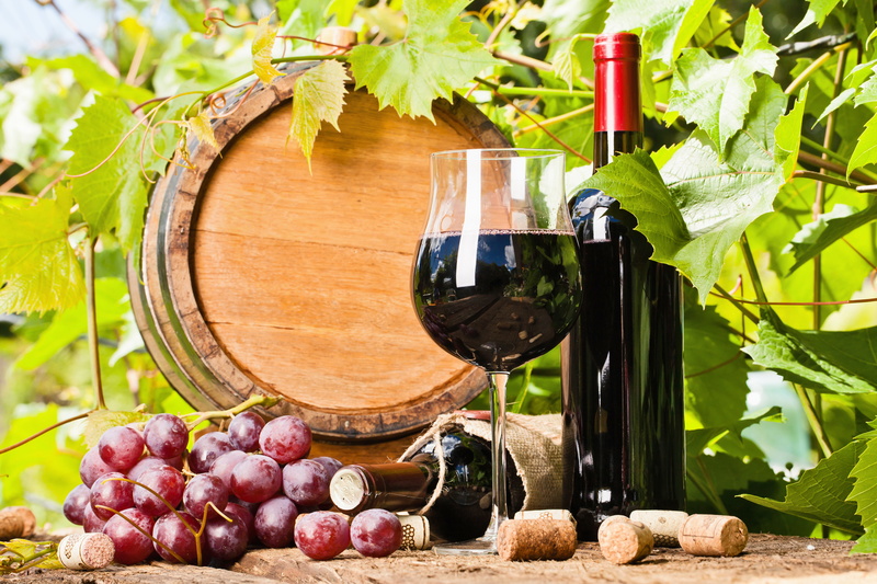 cellar, autumn, clear, agriculture, no People, bunch, green Color, tube, vine, rural Scene, wineglass, grapes, alcohol, winery, outdoors, close-up, crop