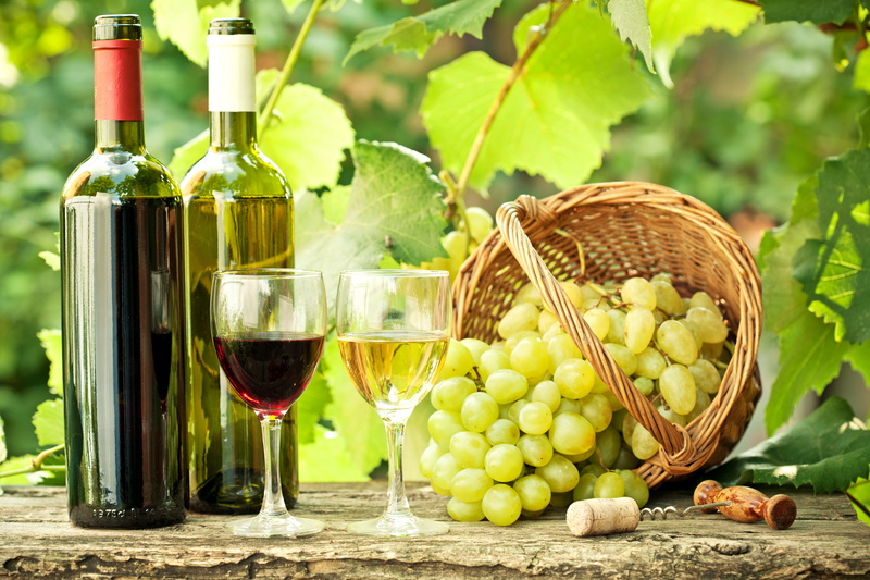 green Color, wine Bottle, crop, winetasting, red, autumn, leaves, gourmet, drink, white Grape, healthy Eating, vine, container, nature, corkscrew, agriculture