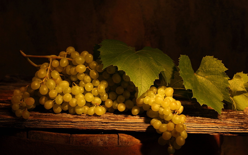 harvesting, food, plant part, grapes, red Grape, bunch, winery, winemaking, white Grape, leaf, nature, autumn, branch, abundance, summer, yellow, ripe