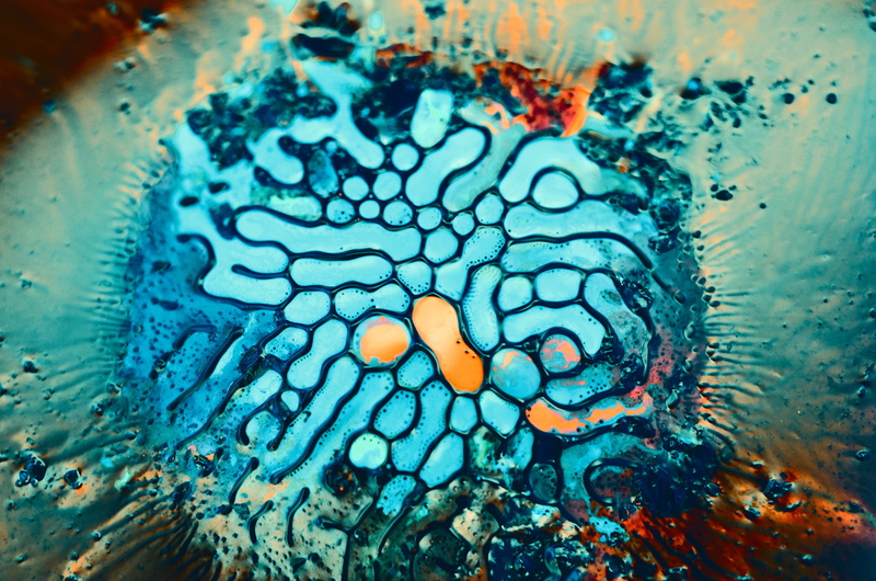 4K, d, Ferrofluid, Cells, 4K, Blue, orange