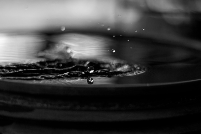 selective focus, wet, freshness, macro, no people, spalsh, splash, extreme close-up, nature, water, 5K, day, motion, falling, photo, photography, outdoors
