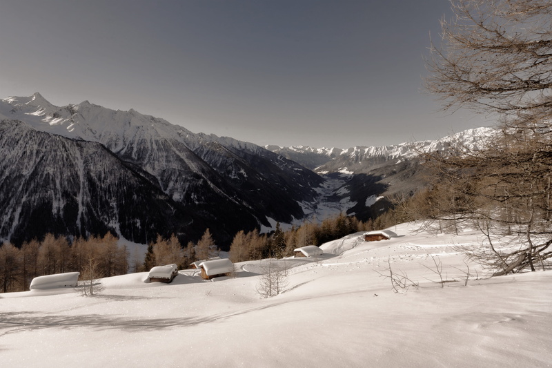 plant, tranquil scene, forest, cold temperature, winter landscape, houses, beauty in nature, frozen, cold, environment, frost, coniferous tree, icy, mountain