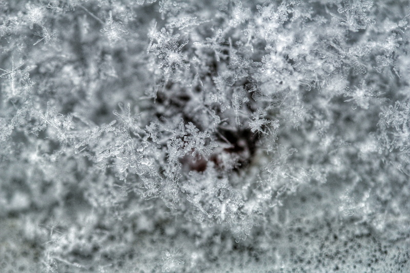 frosty, icy, snow, covered, close-up, full frame, crystals, frozen, close -up, 5K, winter, macro photography, beauty in nature, backgrounds, water, icee
