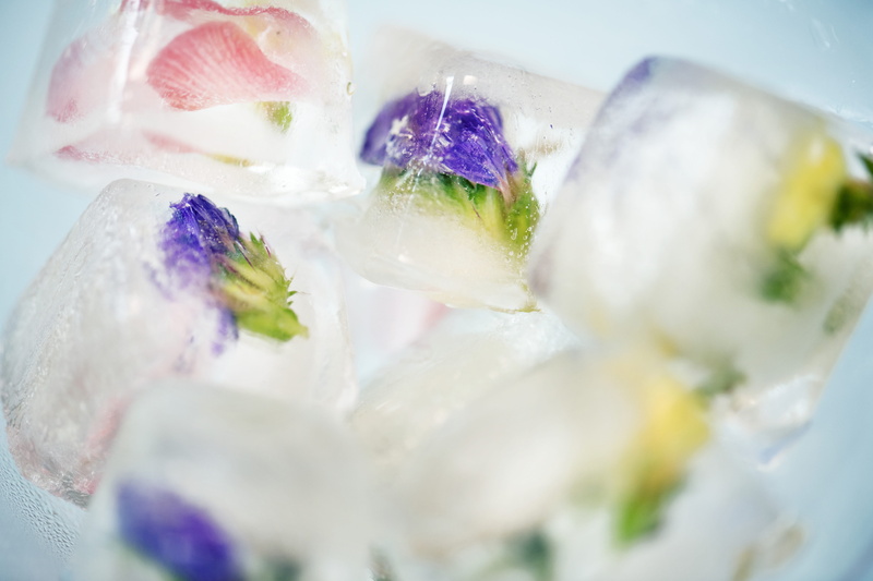 studio shot, craft, flowers, blur, flower, frost, solid, icy, group of objects, wellbeing, indoors, close-up, colorful, food, nobody, cold, freshness, 5K